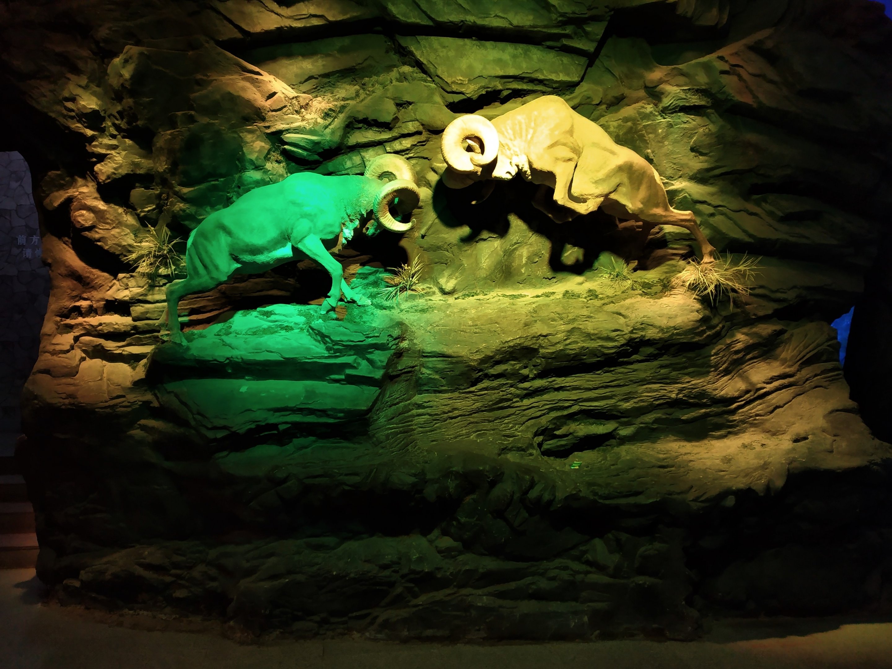 Caprine Tableau in Education Centre