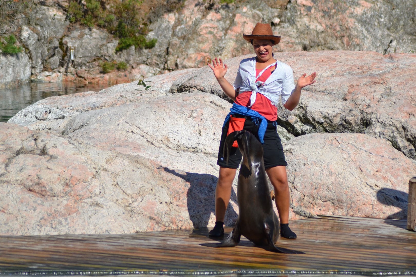 Captain Seasick's seal show in Kolmården