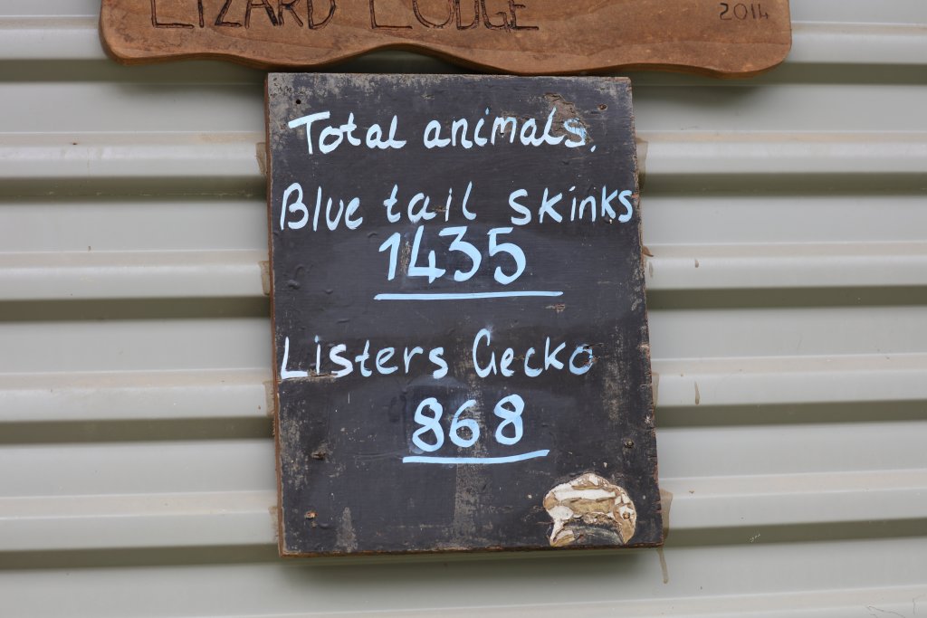 Captive Population at the Pink House