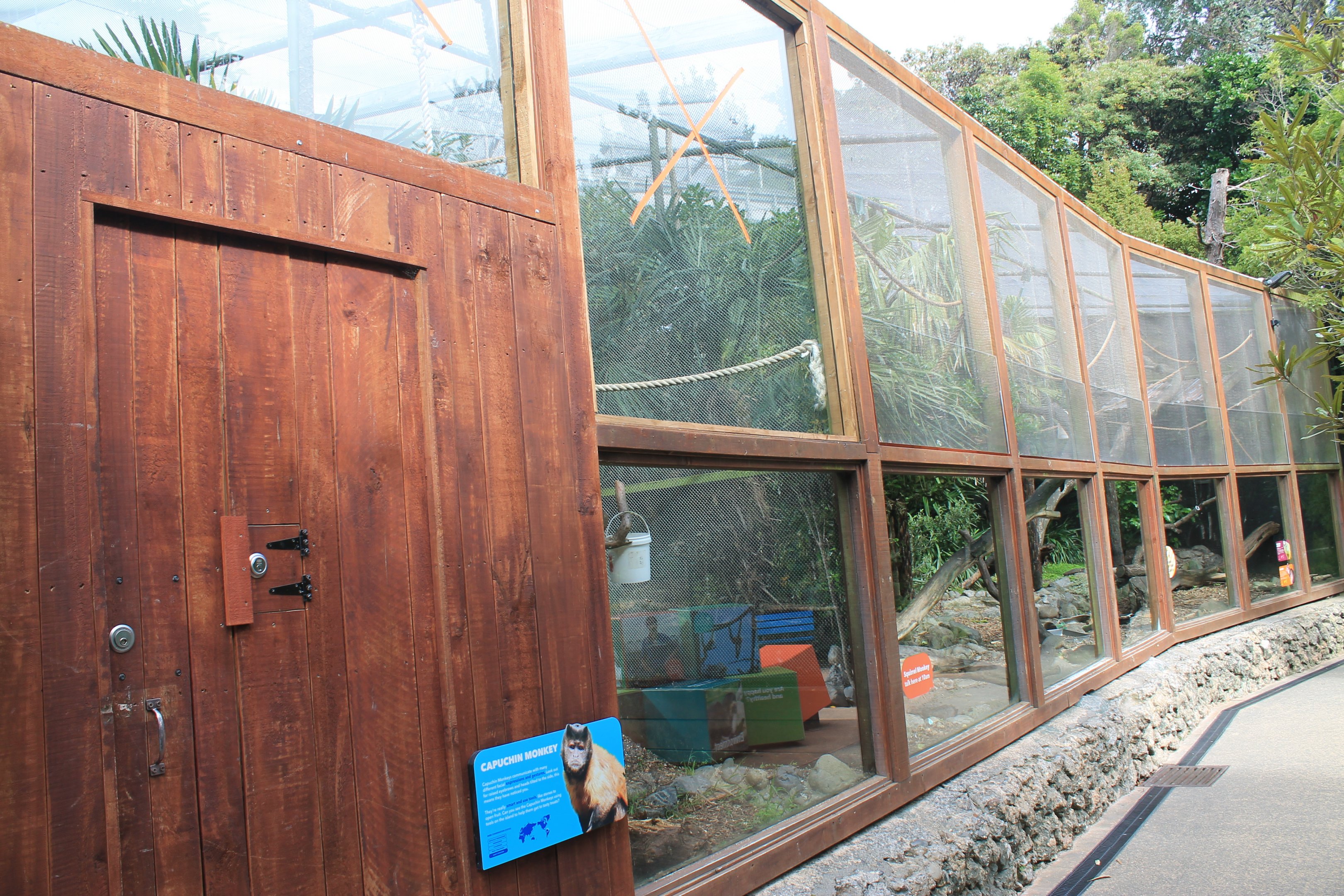 Capuchin and Squirrel Monkey enclosures