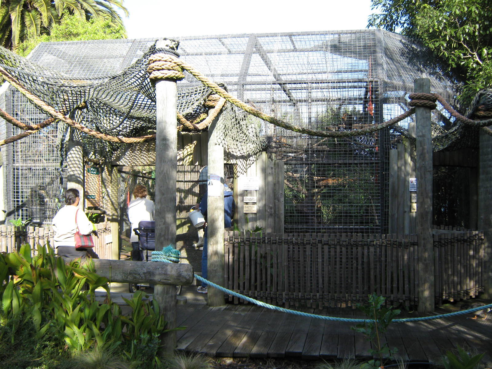 capuchin cage