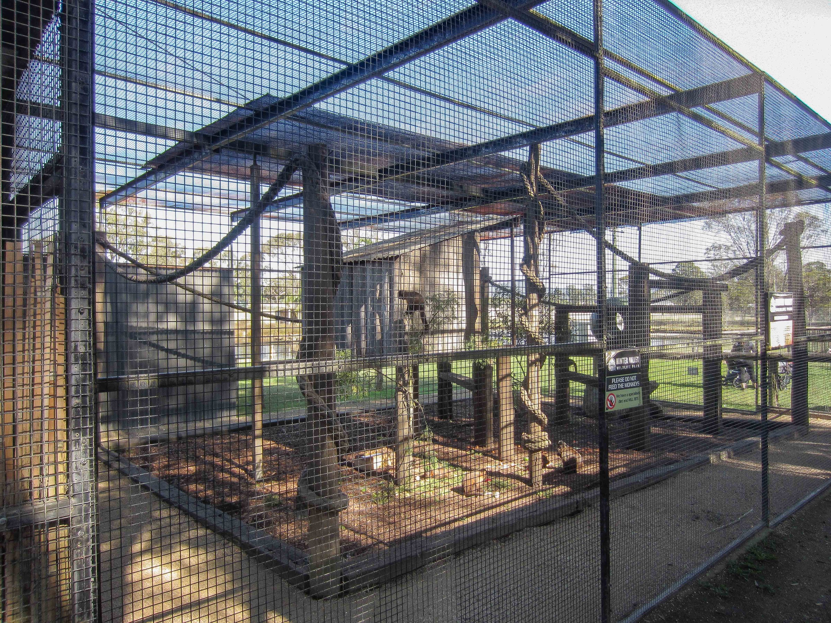 Capuchin cage