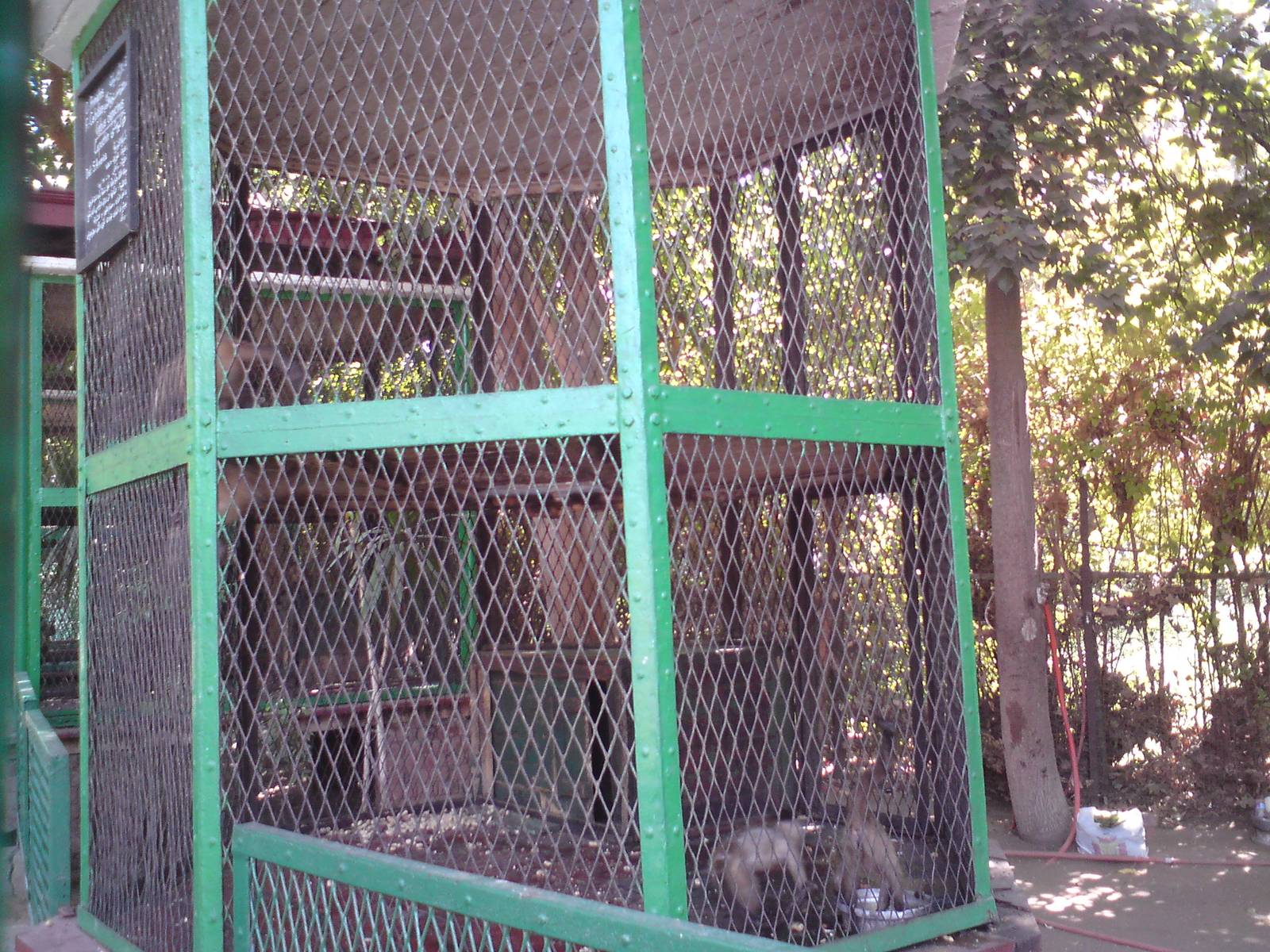 Capuchin cage