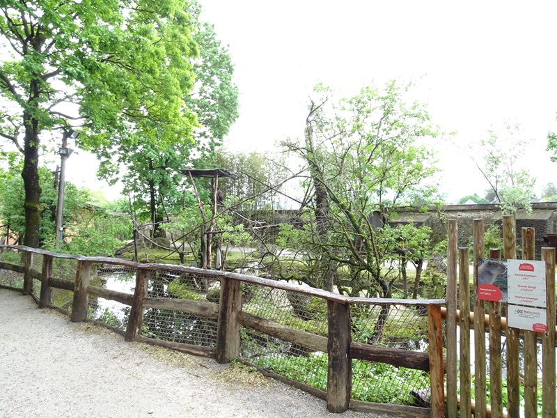 Capuchin + capybara enclosure