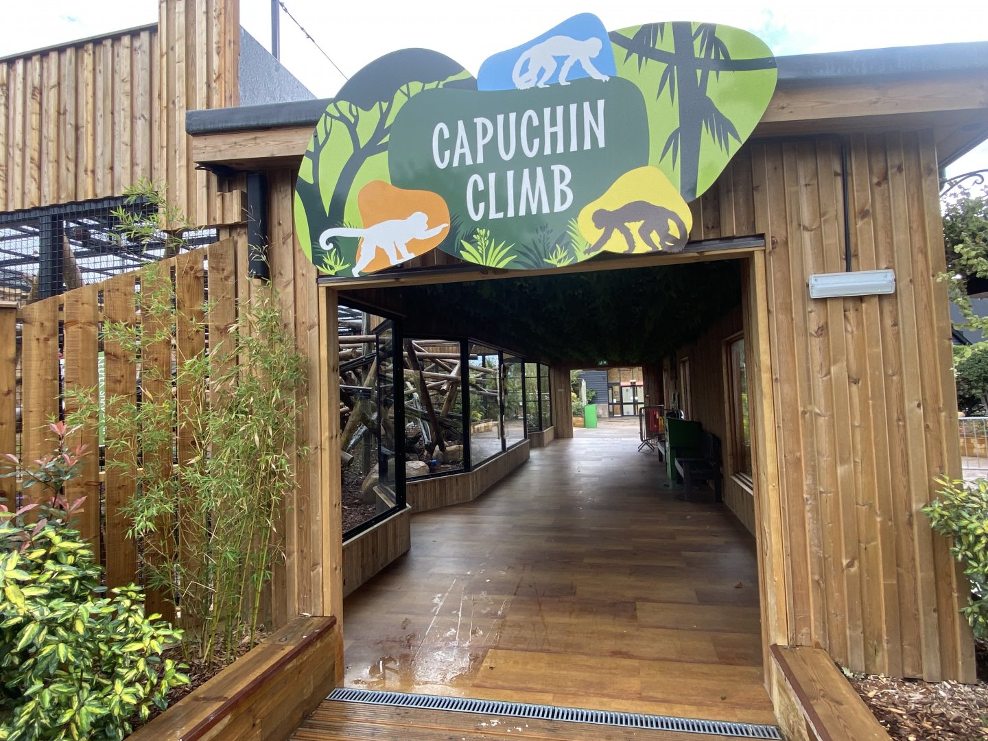 Capuchin Climb 110925