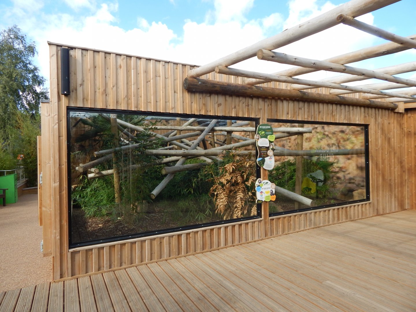 Capuchin Climb - Yellow-breasted capuchin exhibit 110925