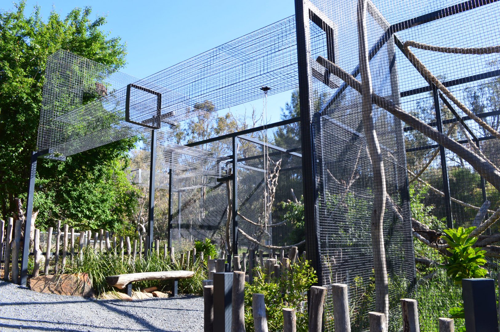 Capuchin Enclosure 01