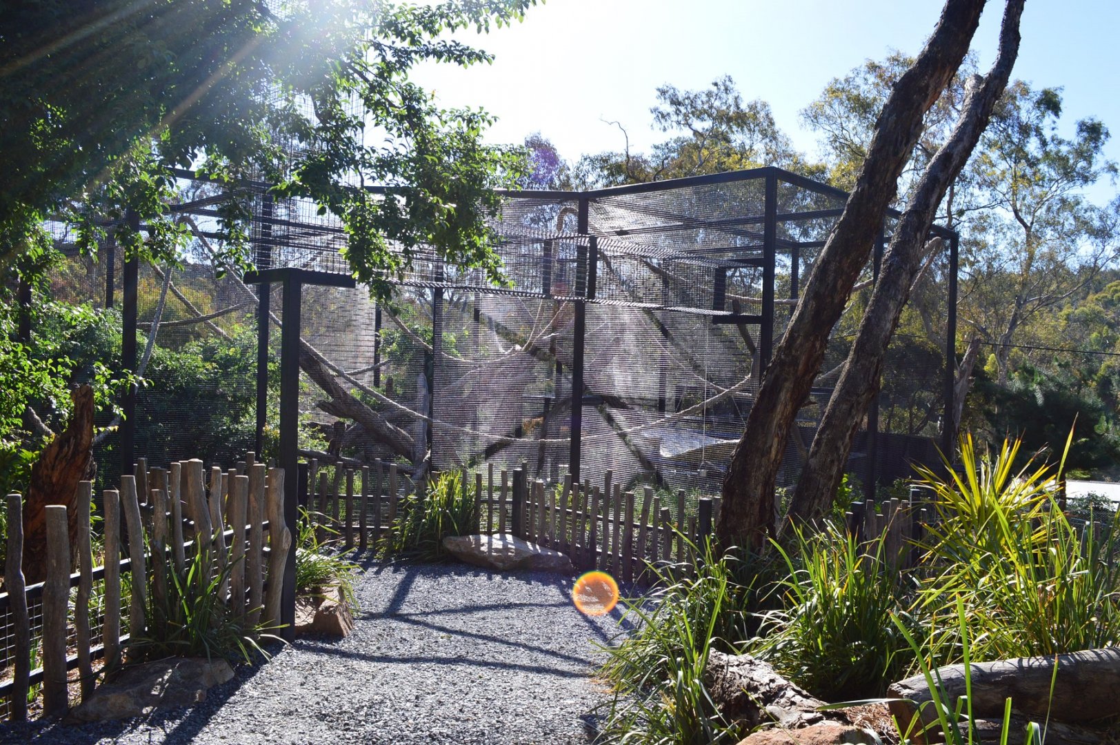 Capuchin Enclosure 02