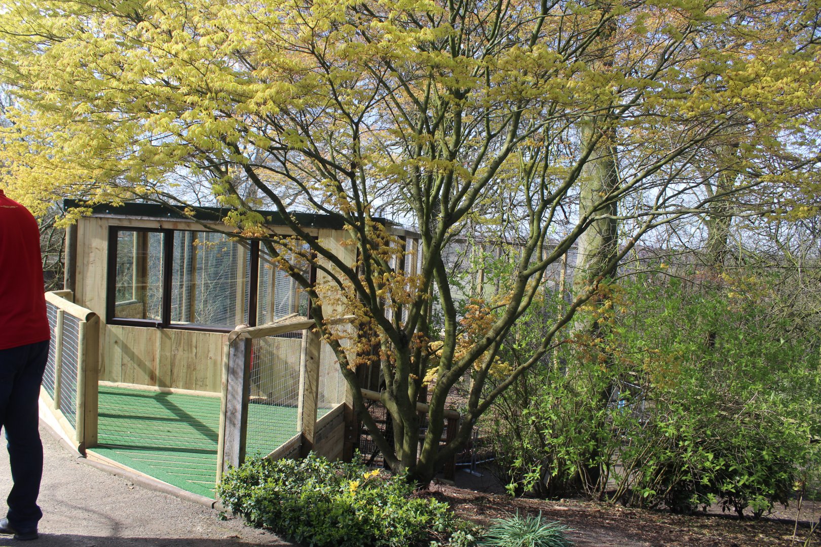 capuchin enclosure extension Dudley Zoo 26 March 2017