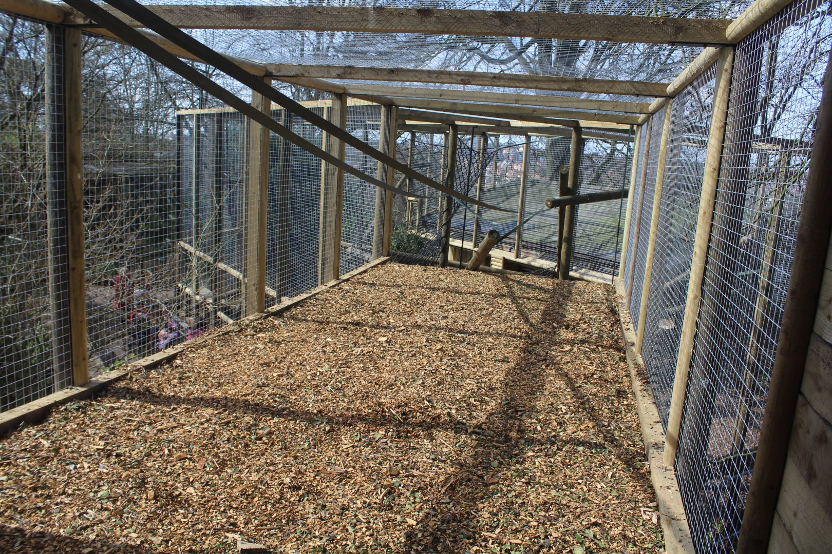Capuchin enclosure extension Dudley Zoo 26 March 2017