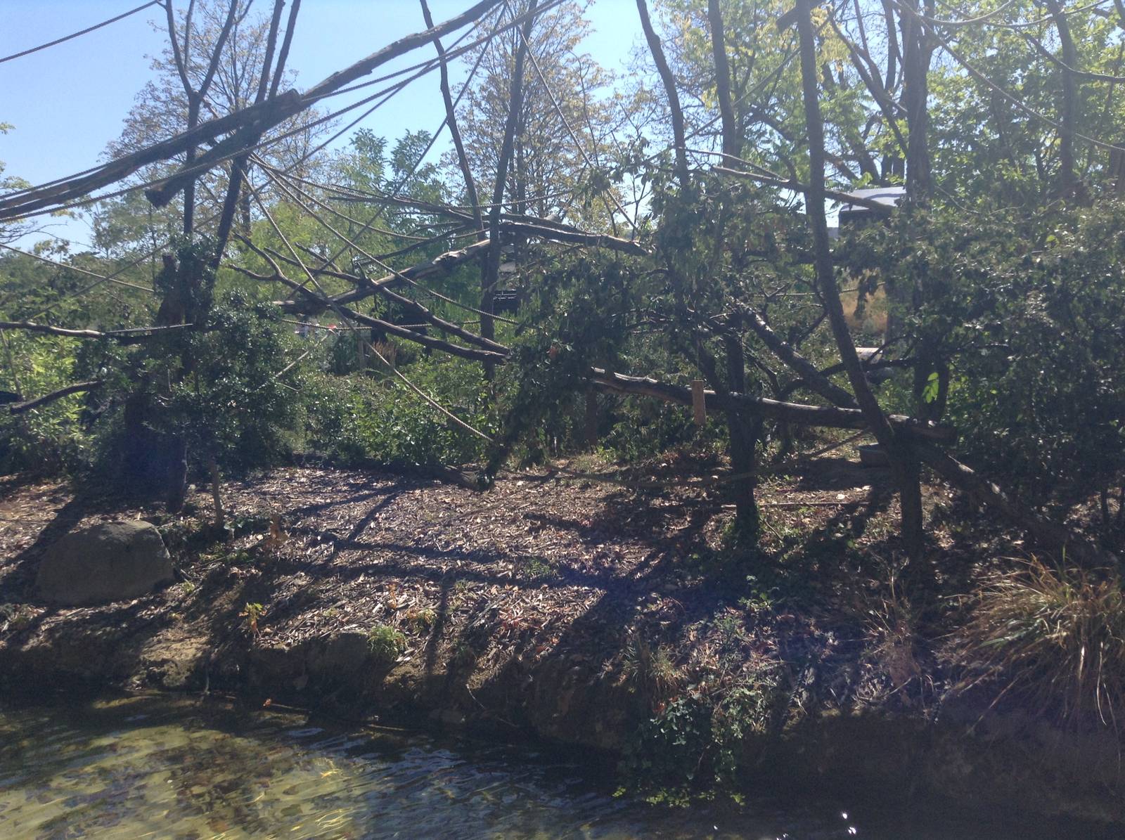 Capuchin Enclosure - Paris Zoo