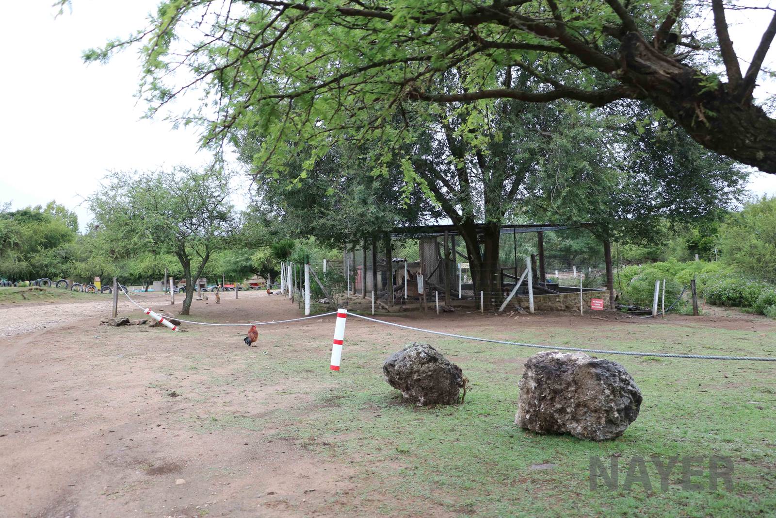 Capuchin enclosure - Tatu Carreta, April 2016.