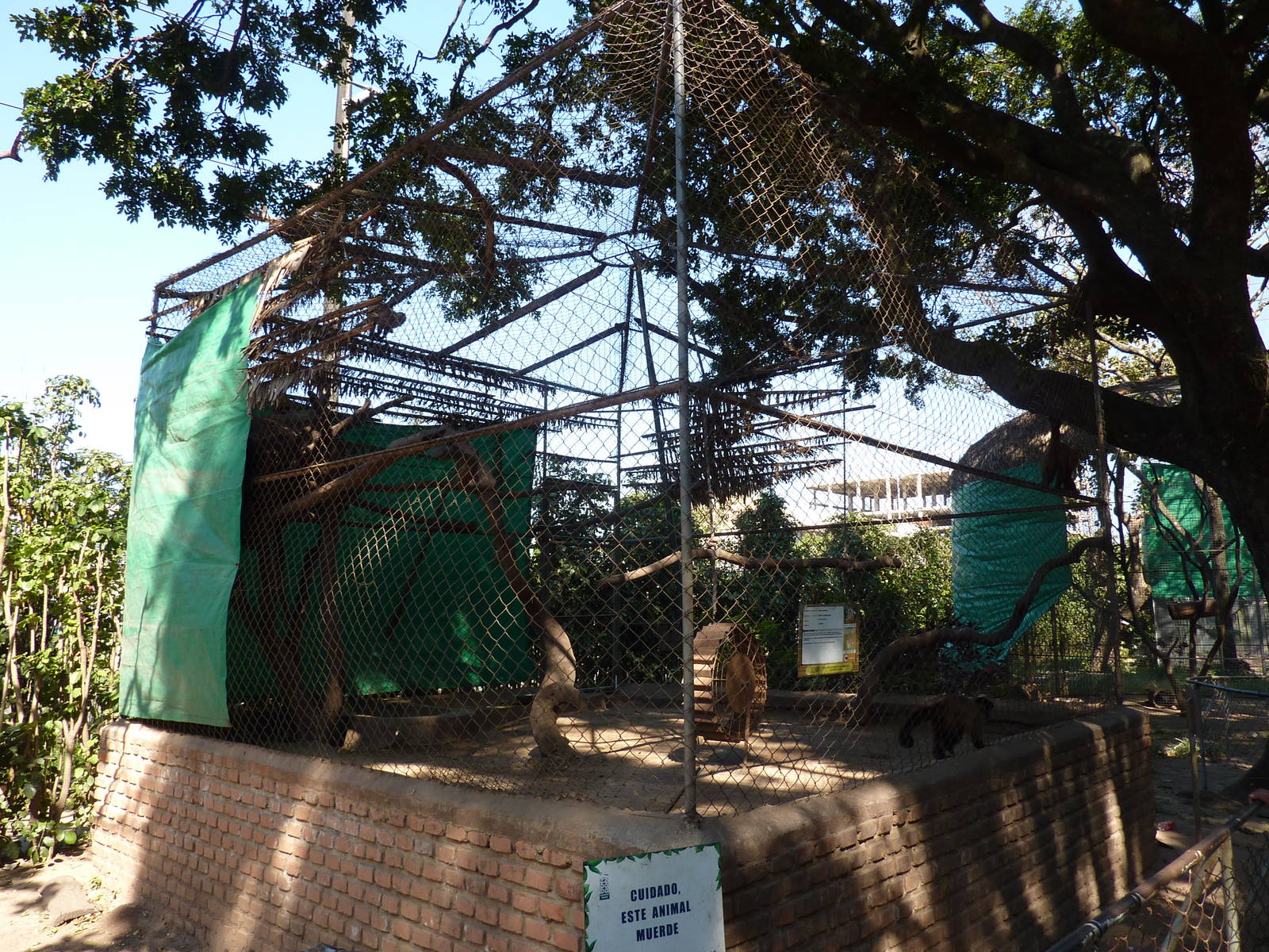 Capuchin enclosure