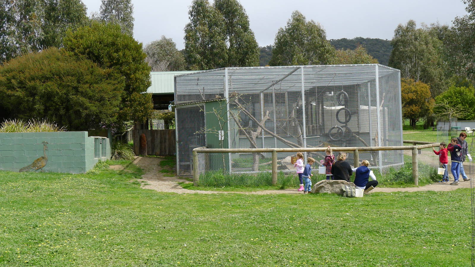 Capuchin Enclosure