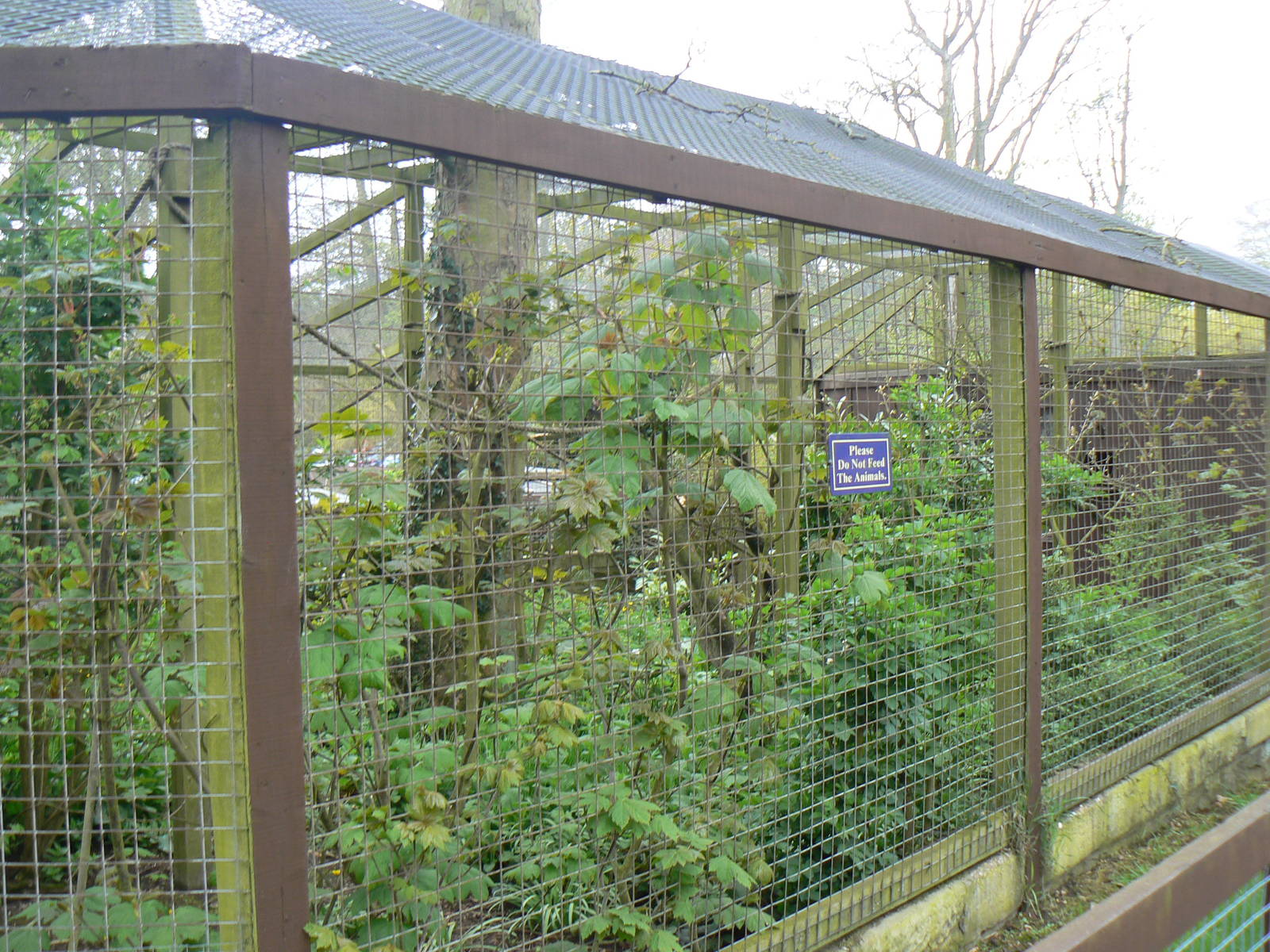 Capuchin Enclosure