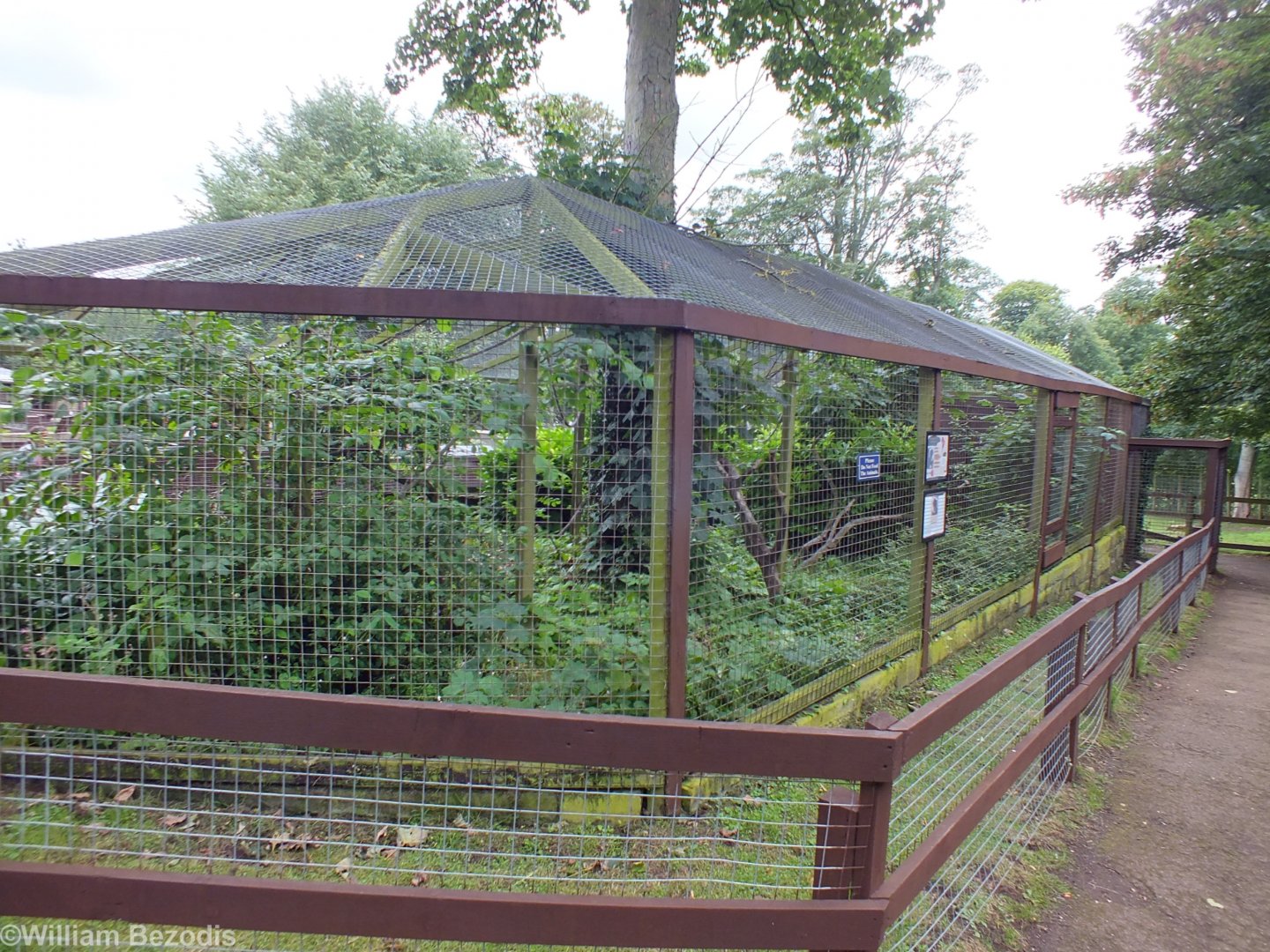 Capuchin Enclosure