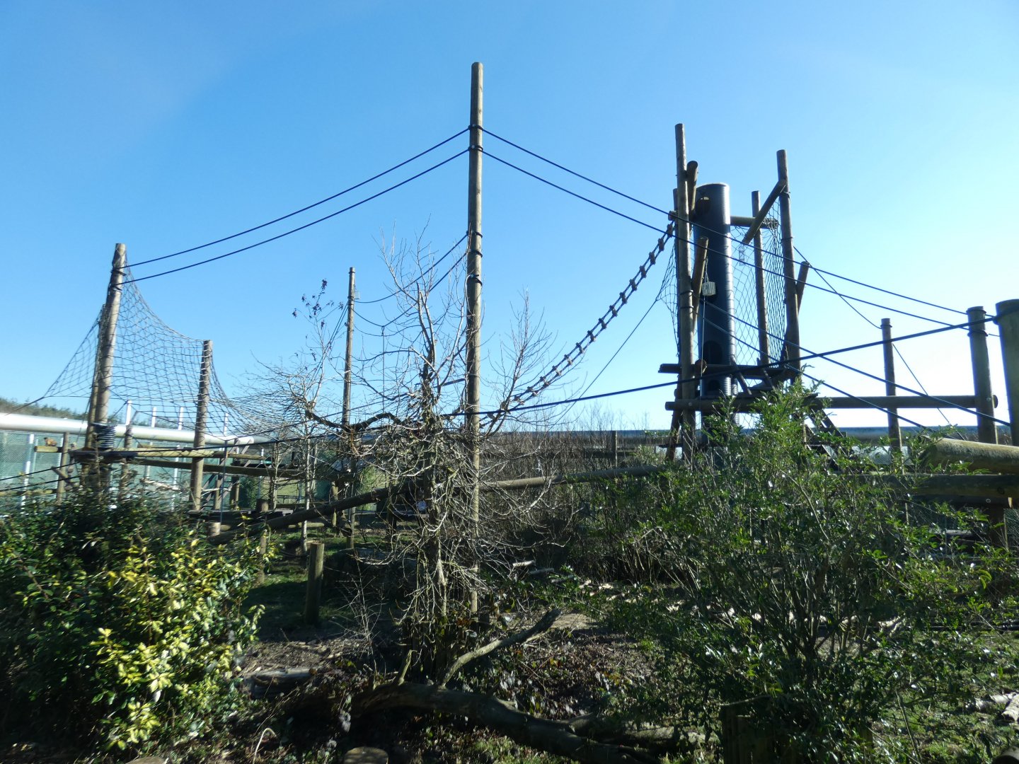Capuchin enclosure