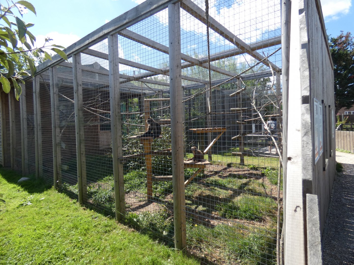 Capuchin enclosure