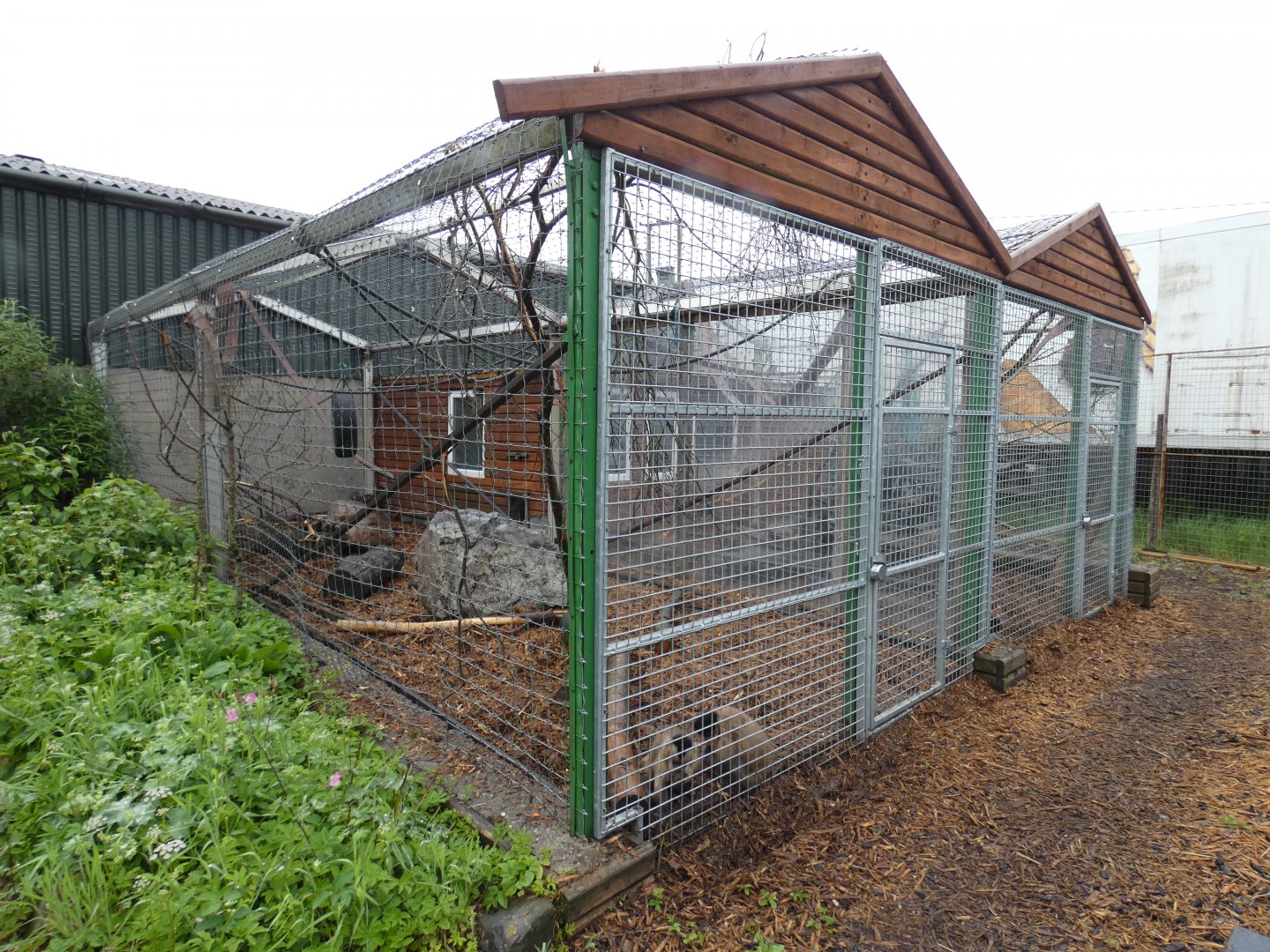 Capuchin enclosure
