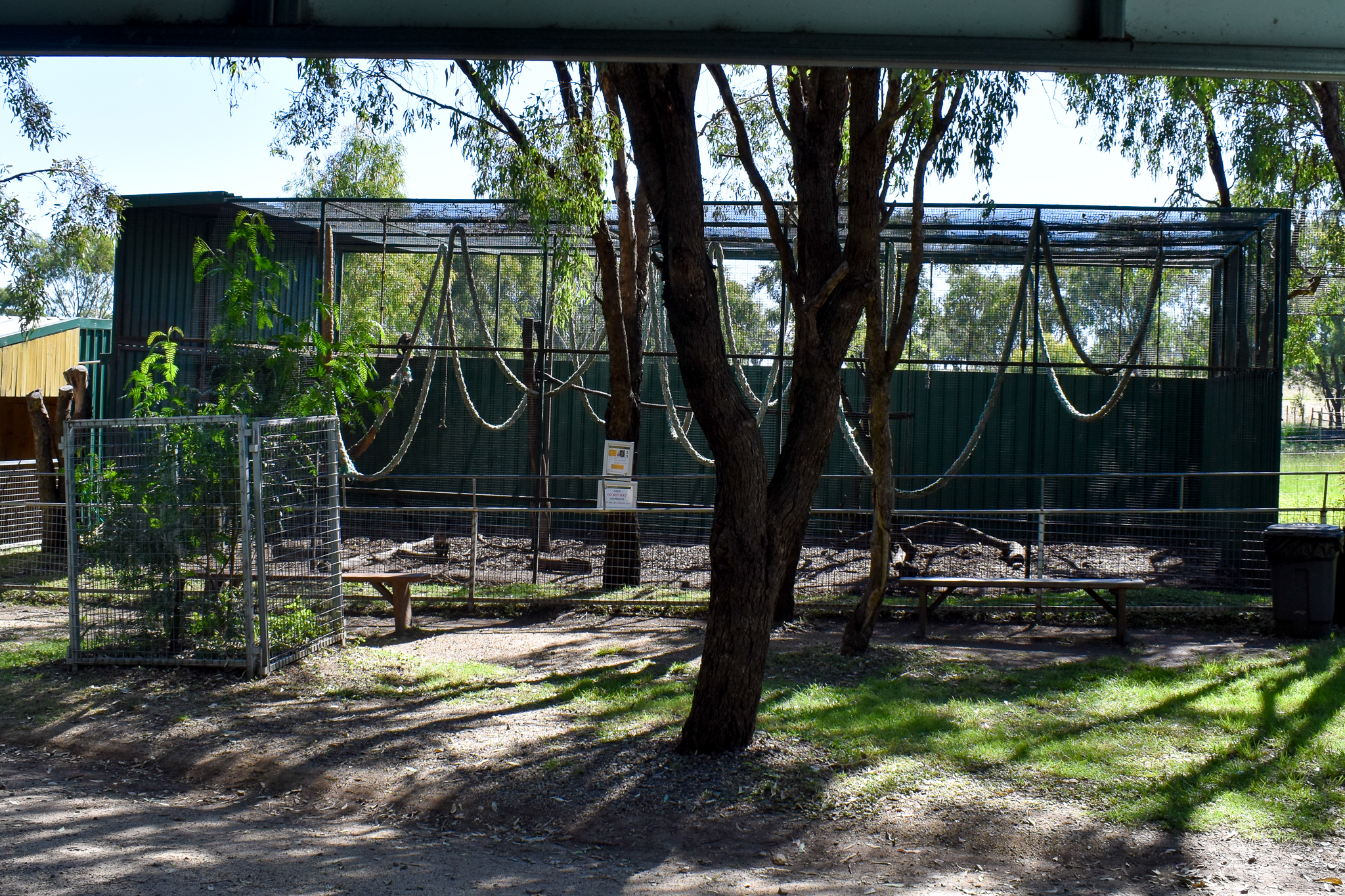 Capuchin Enclosure