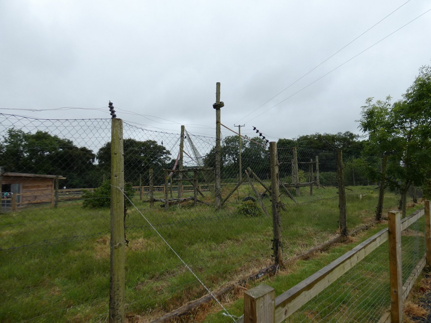Capuchin enclosure