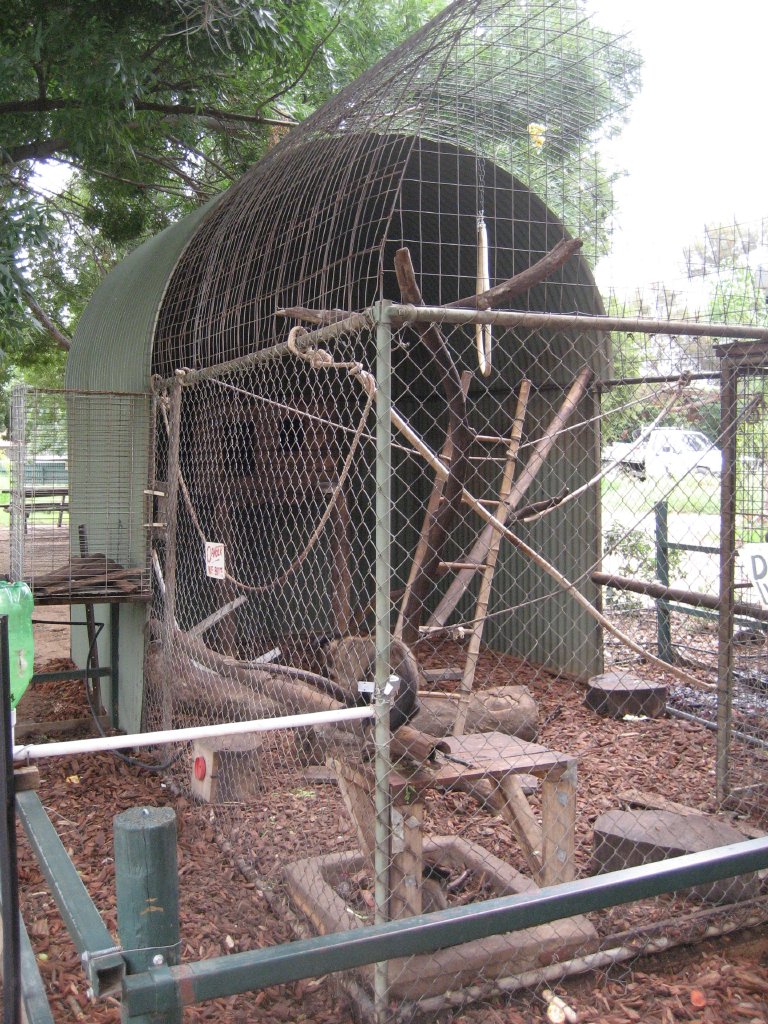 Capuchin enclosure