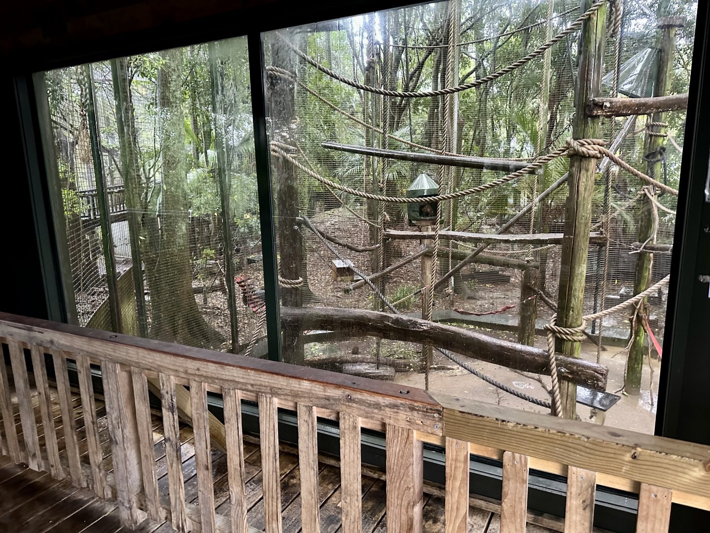 Capuchin Exhibit 1 (Viewing Window Barrier)