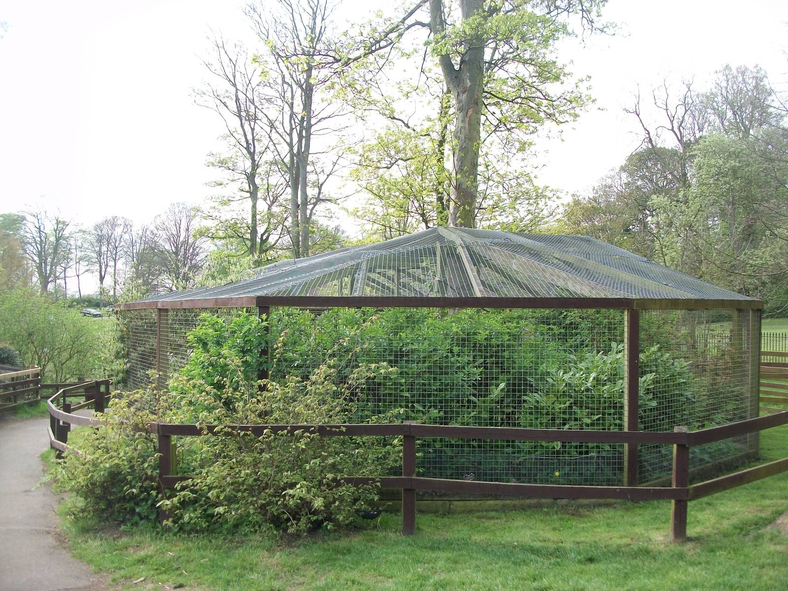 Capuchin exhibit, 4th May 2014