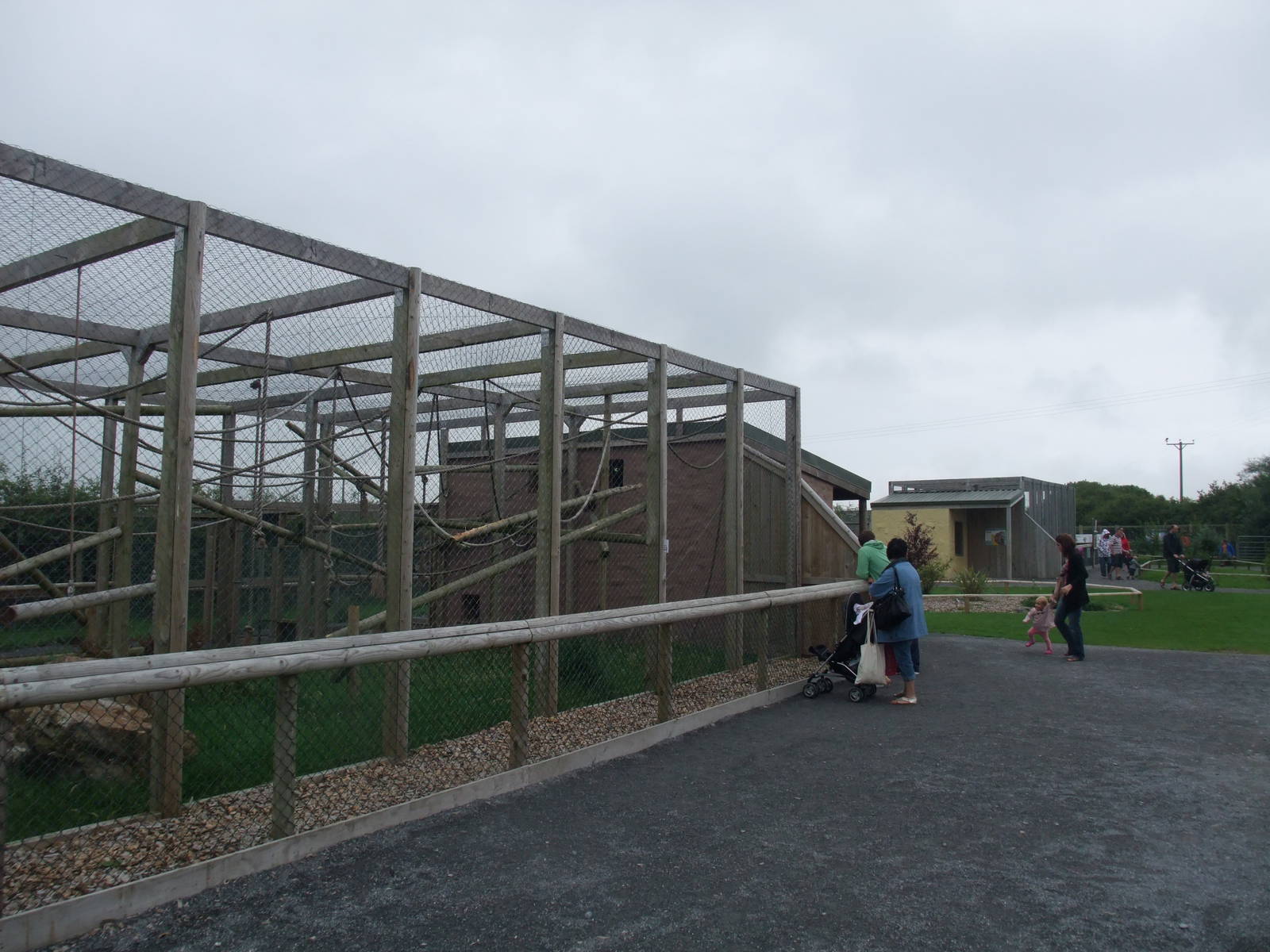 Capuchin Exhibit at Folly Farm, 01/08/11