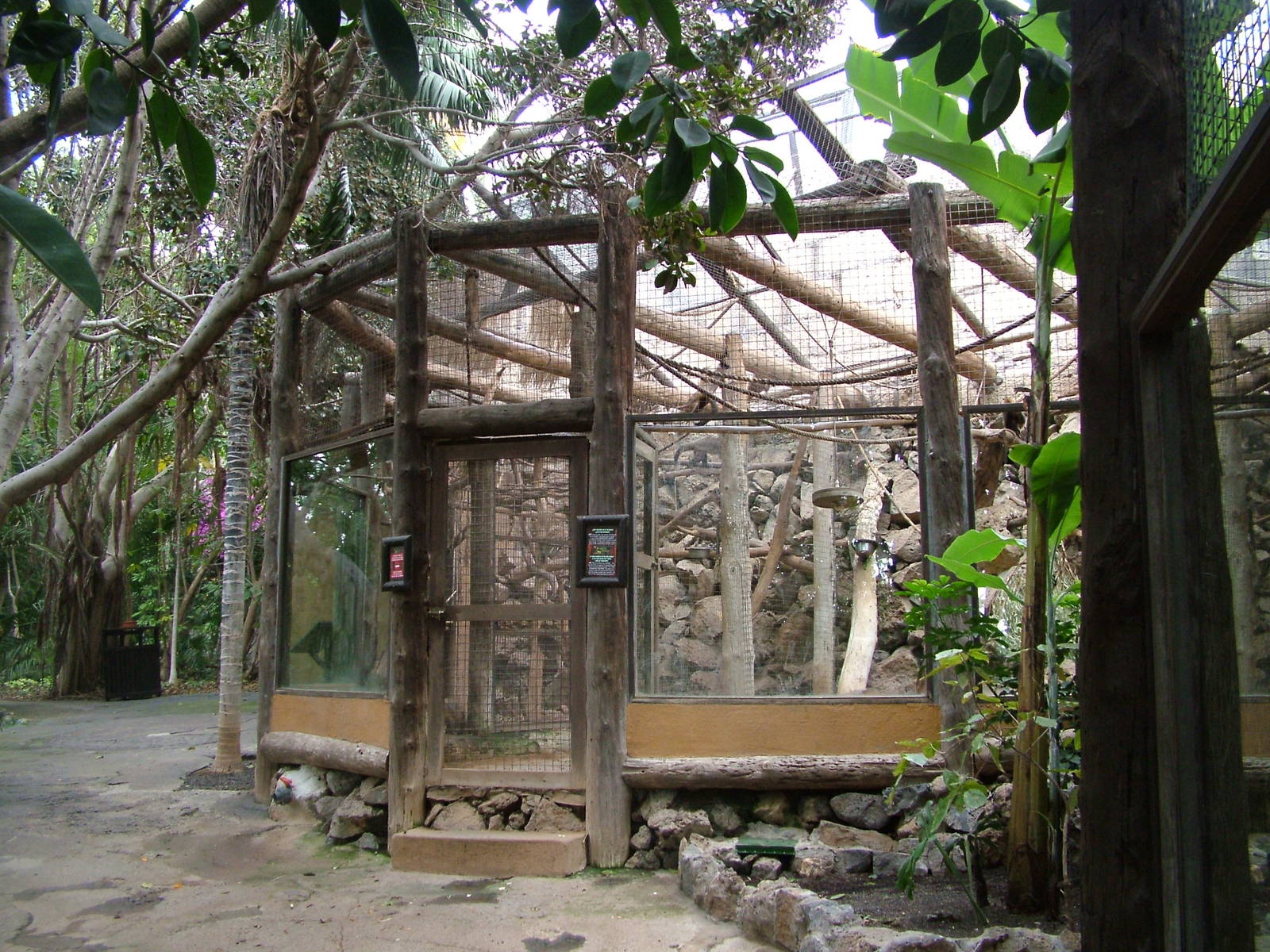 Capuchin Exhibit at Jungle Park (Las Aguilas), 13/11/10