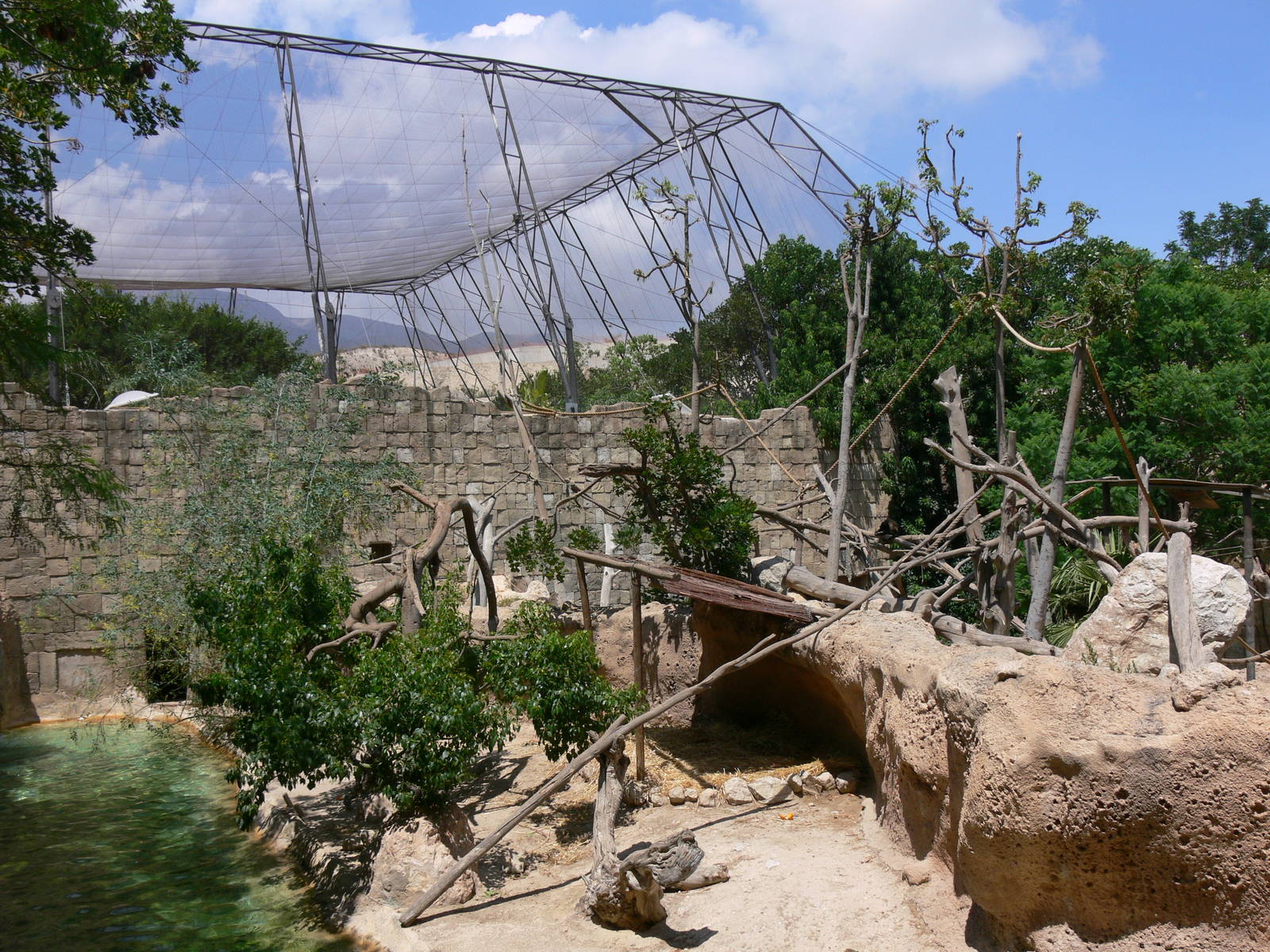 Capuchin Exhibit at Terra Natura, 03/08/14