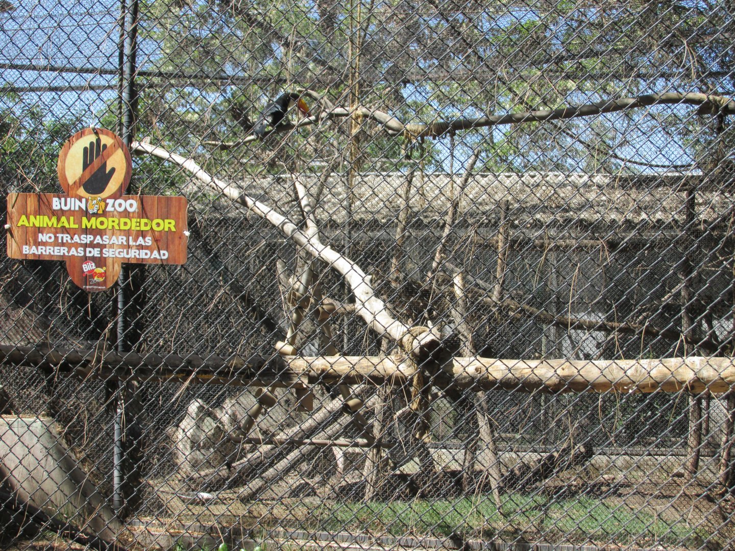 capuchin exhibit buin zoo