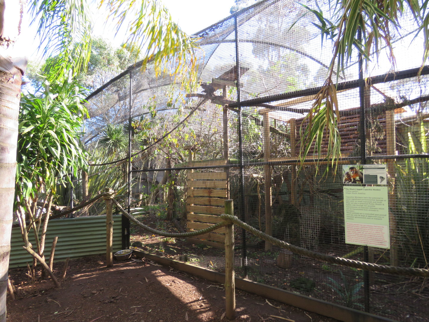 Capuchin Exhibit
