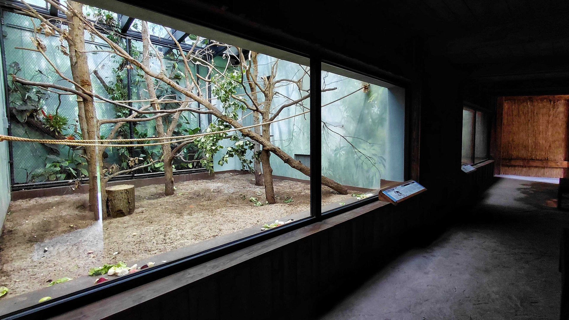 Capuchin indoor exhibit