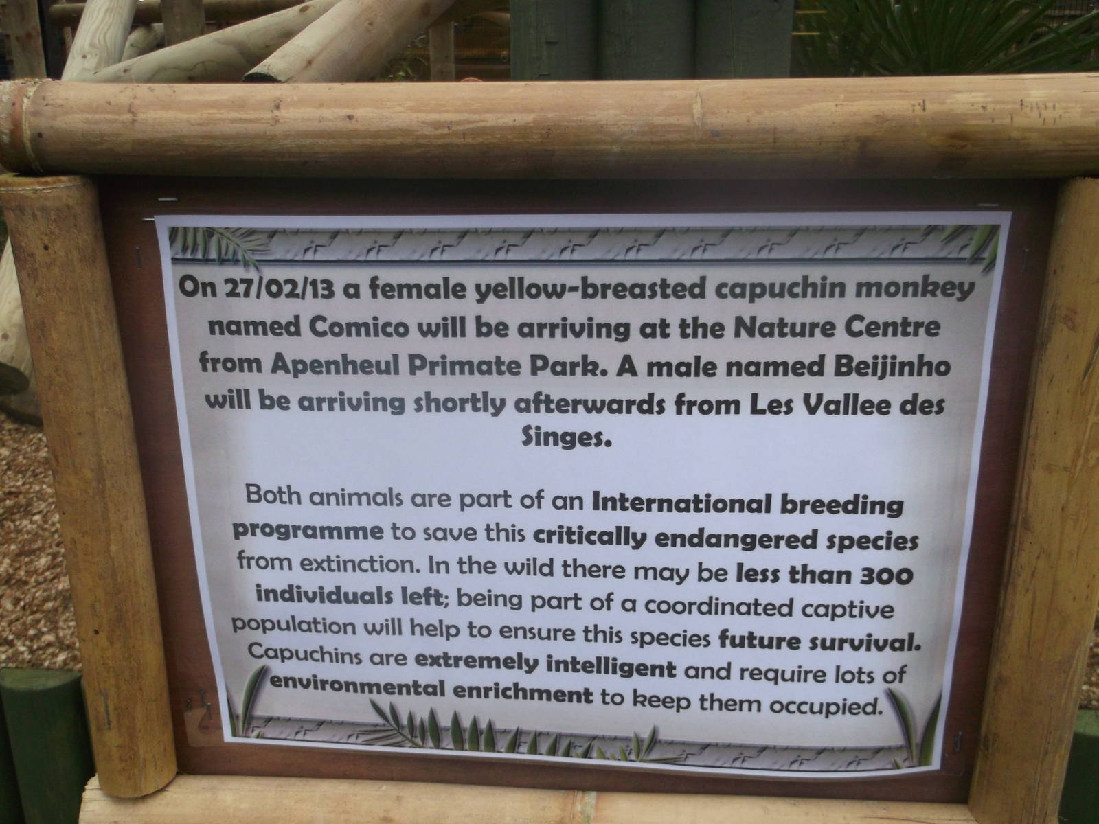 Capuchin Information Sign