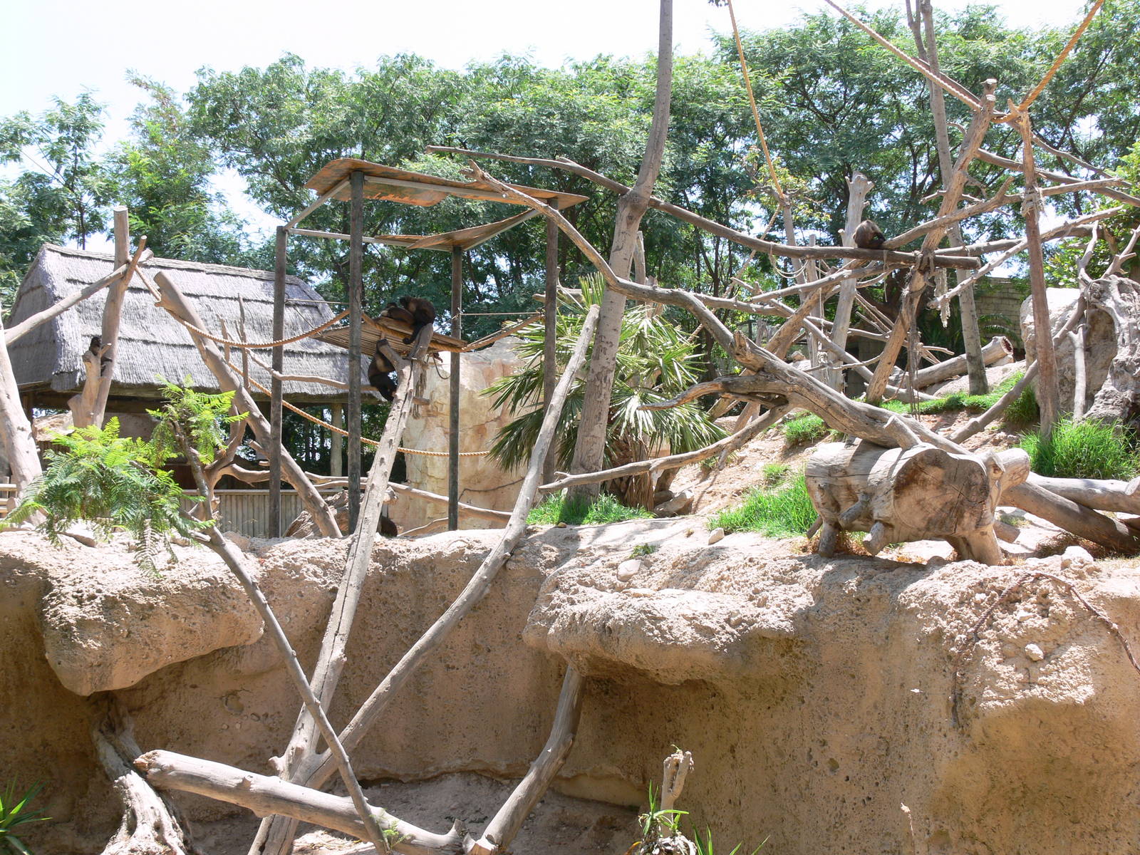Capuchin Island at Terra Natura, 03/08/14