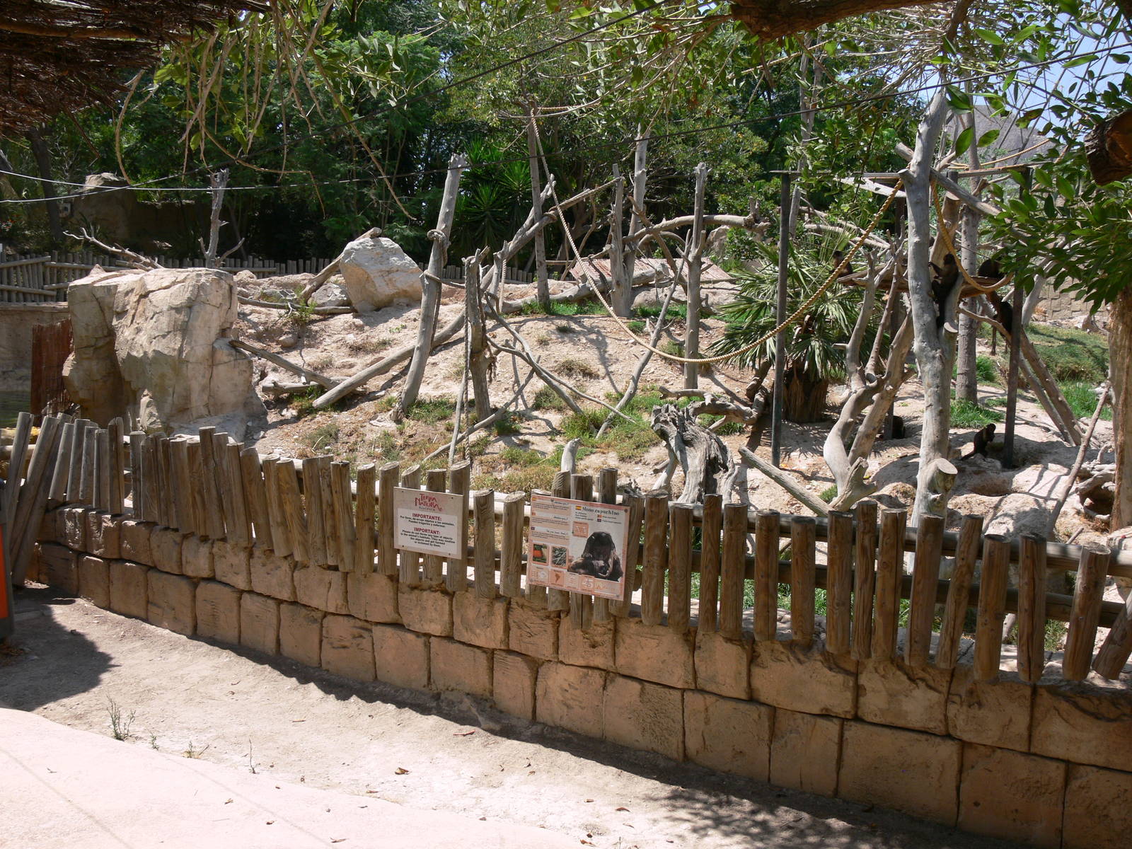 Capuchin Island at Terra Natura, 03/08/14