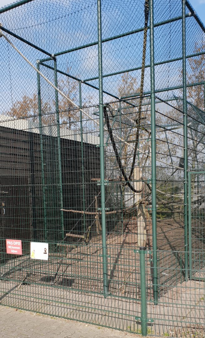 Capuchin monkey enclosure