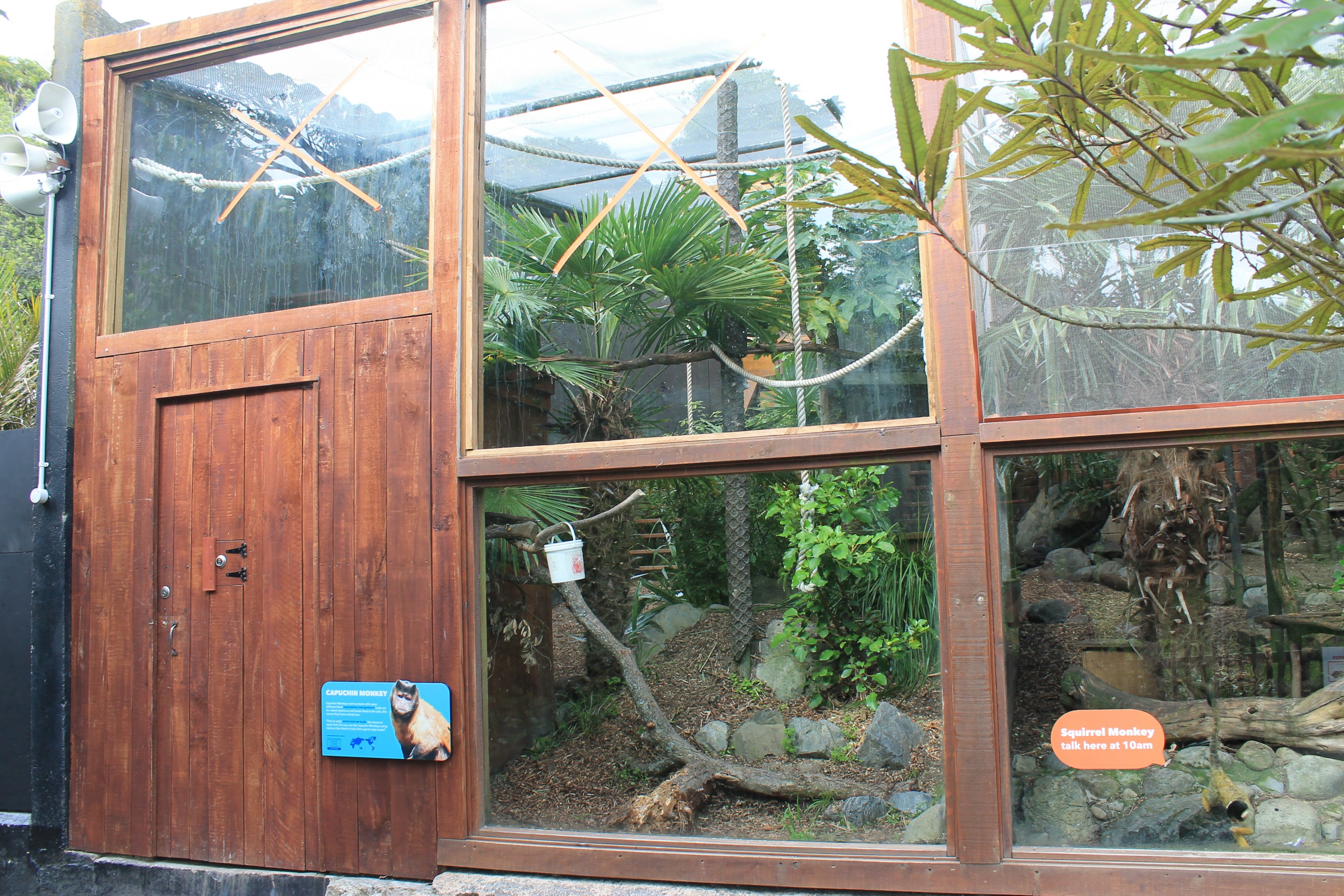 Capuchin Monkey enclosure