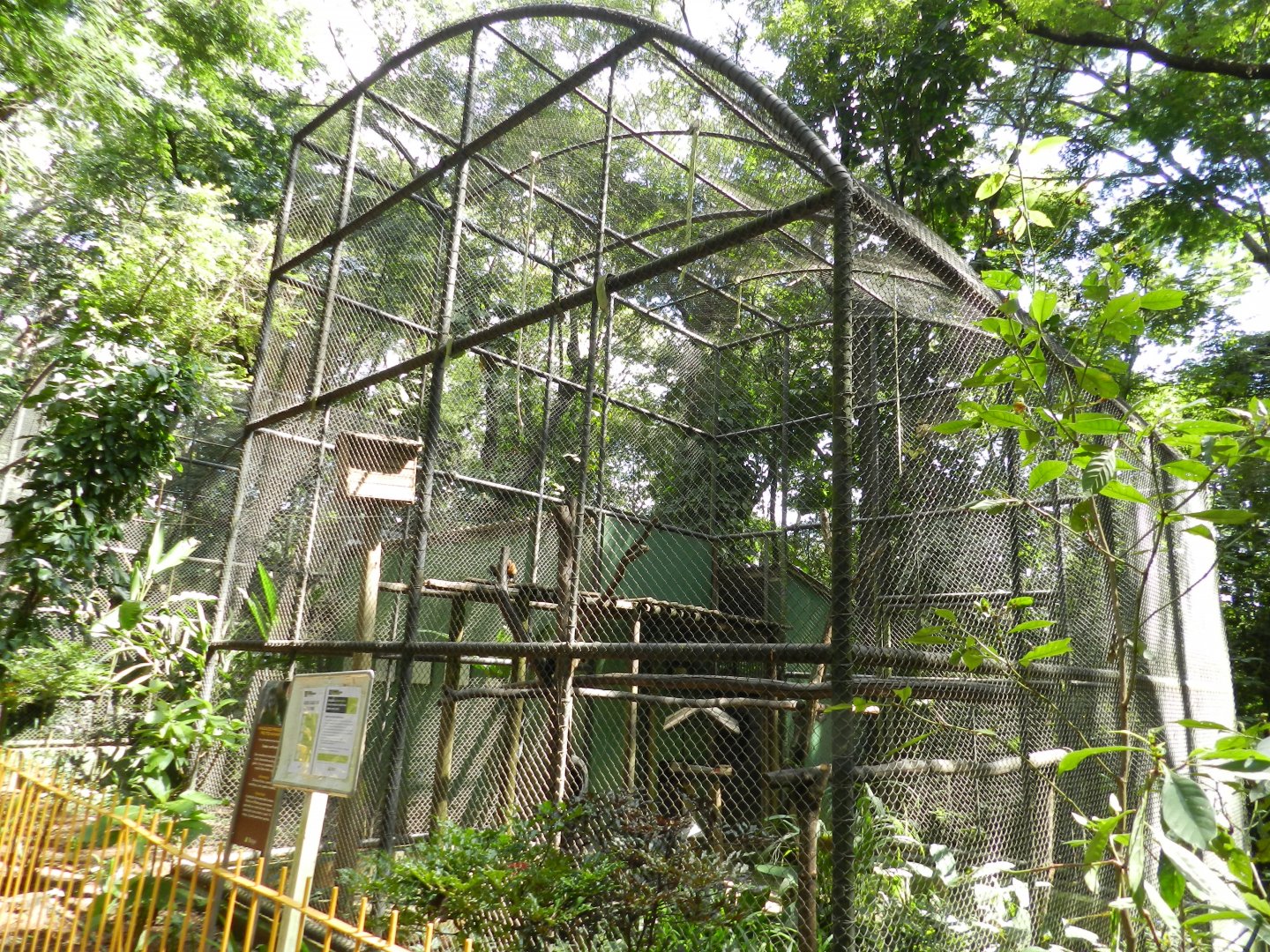 Capuchin monkey exhibit - Belo Horizonte zoo