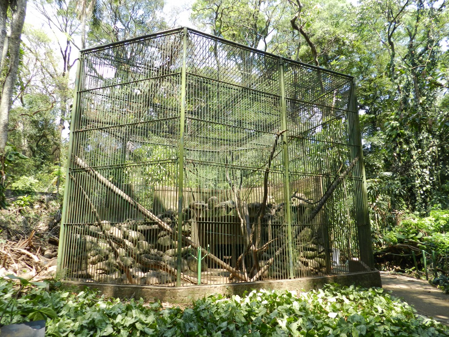 Capuchin monkey exhibit - Campinas zoo (BDJ)