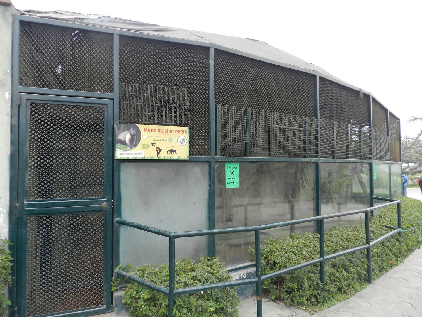 Capuchin monkey exhibit - Parque Zoológico Huachipa