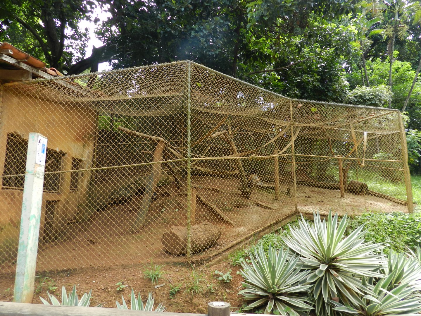 Capuchin monkey exhibit - Salvador zoo (PZGV)