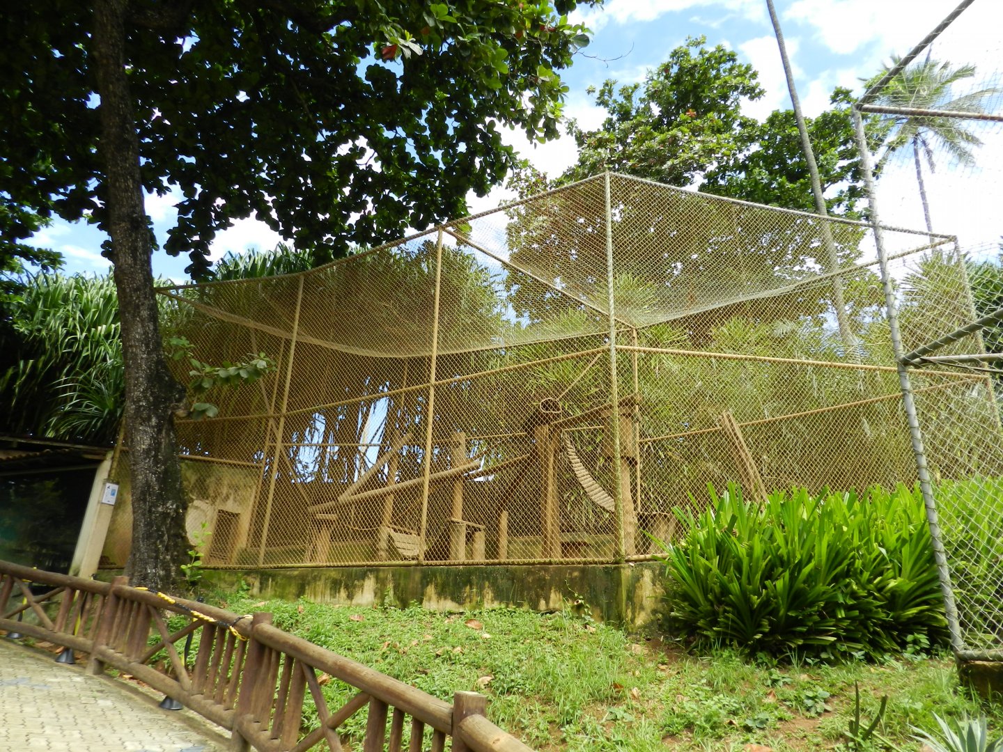 Capuchin monkey exhibit - Salvador zoo (PZGV)