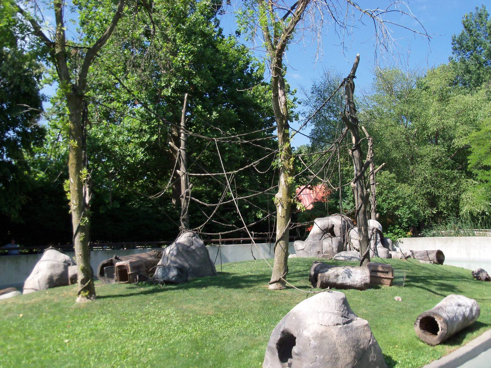 Capuchin Monkey Exhibit