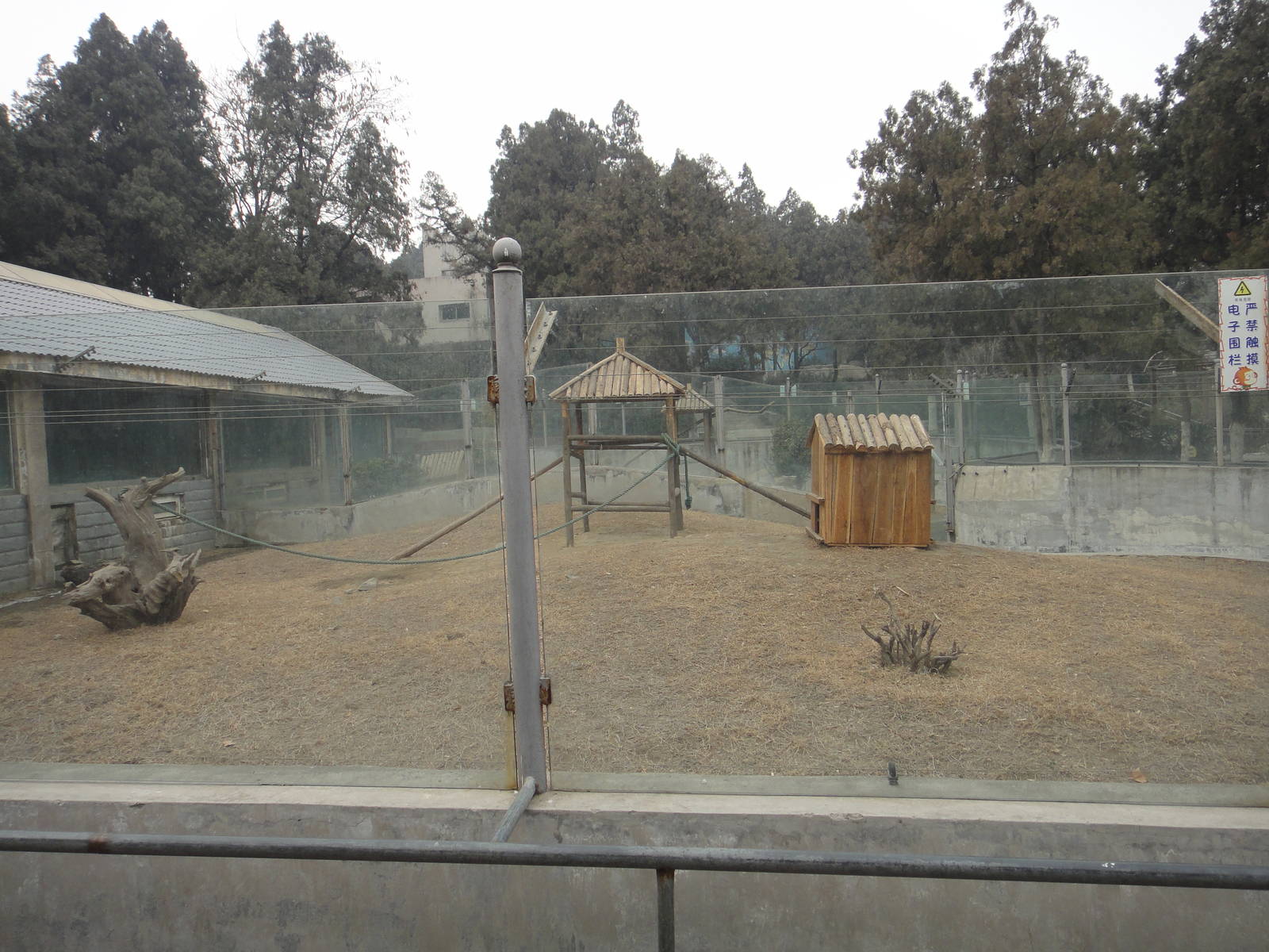 Capuchin monkey exhibit