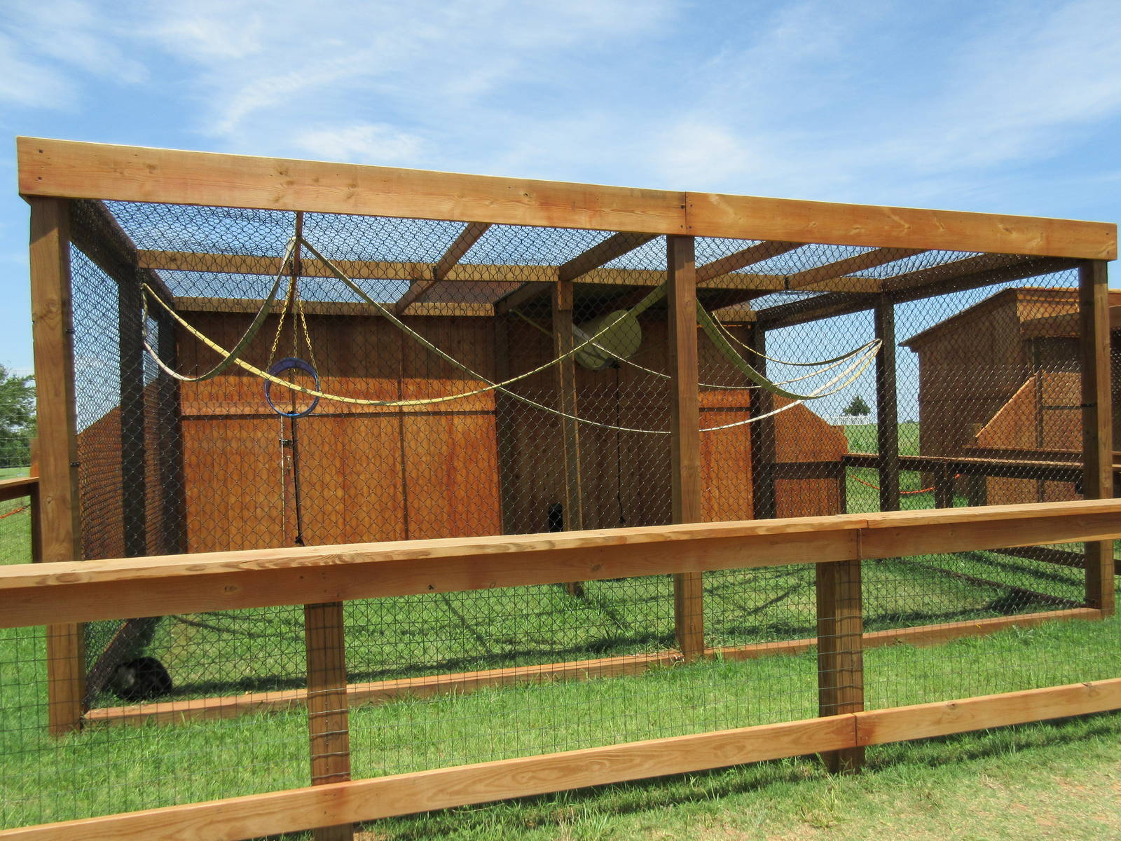 Capuchin Monkey Exhibit