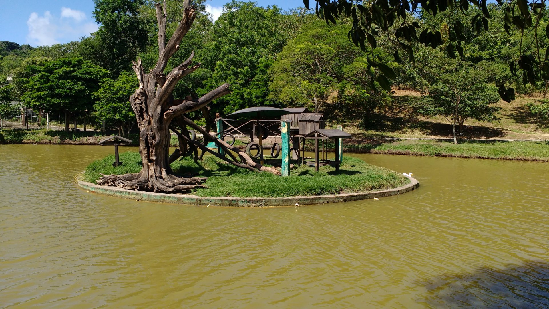 Capuchin monkey island - Aracaju zoo
