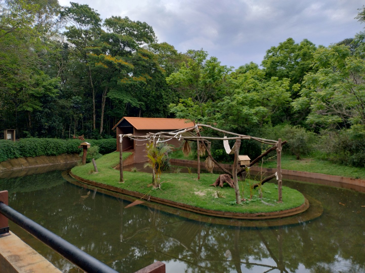 Capuchin monkey island - RBBV (ZRRL)