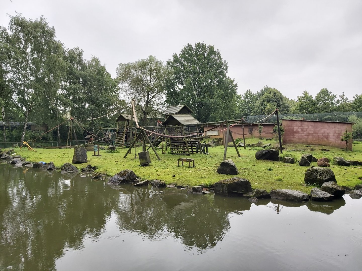 Capuchin Monkey Island